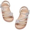 Ck550 - Silver