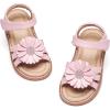 Ck552 - Pink