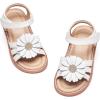 Ck552 - White