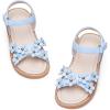 Ck370 Blue