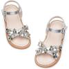 Ck370 Silver