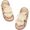 Ck553 Gold